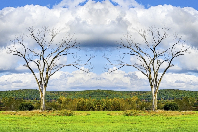 Copake NY Clouds and Tree Fliptych