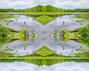 Millbrook Pond-Fliptych