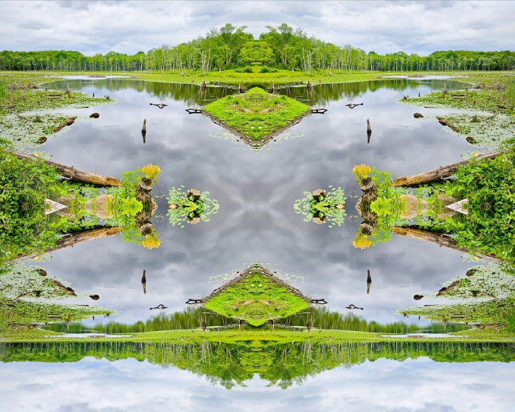 Millbrook Pond-Fliptych